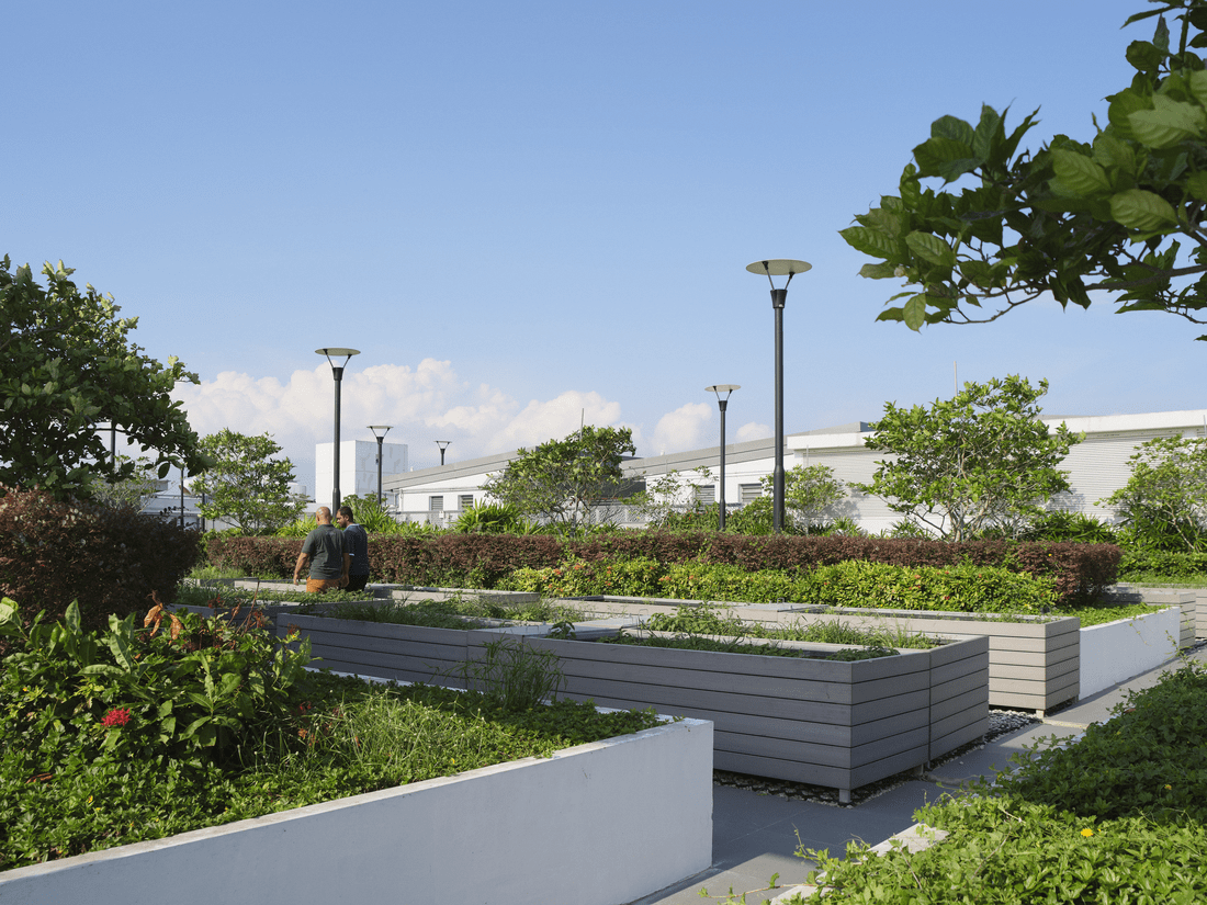 Defu Industrial City