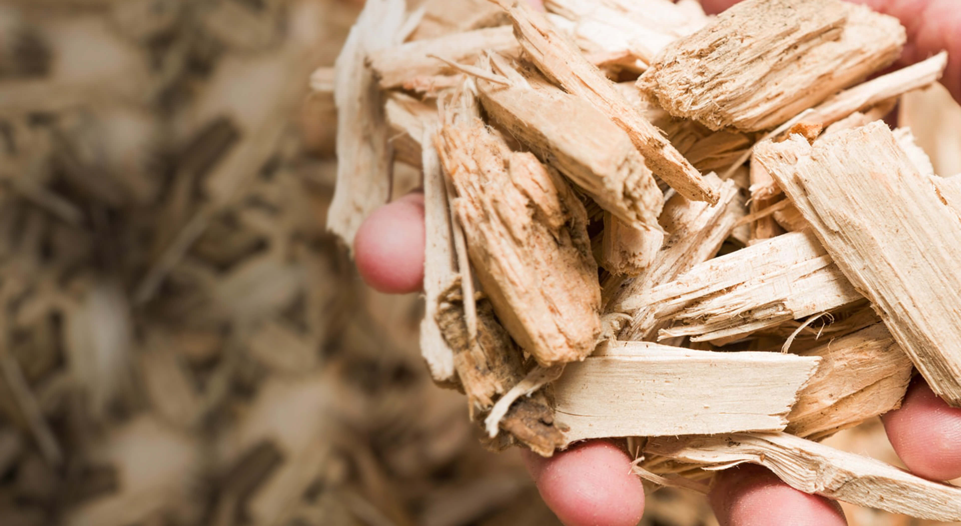 A hand picking up wood chips from a pile