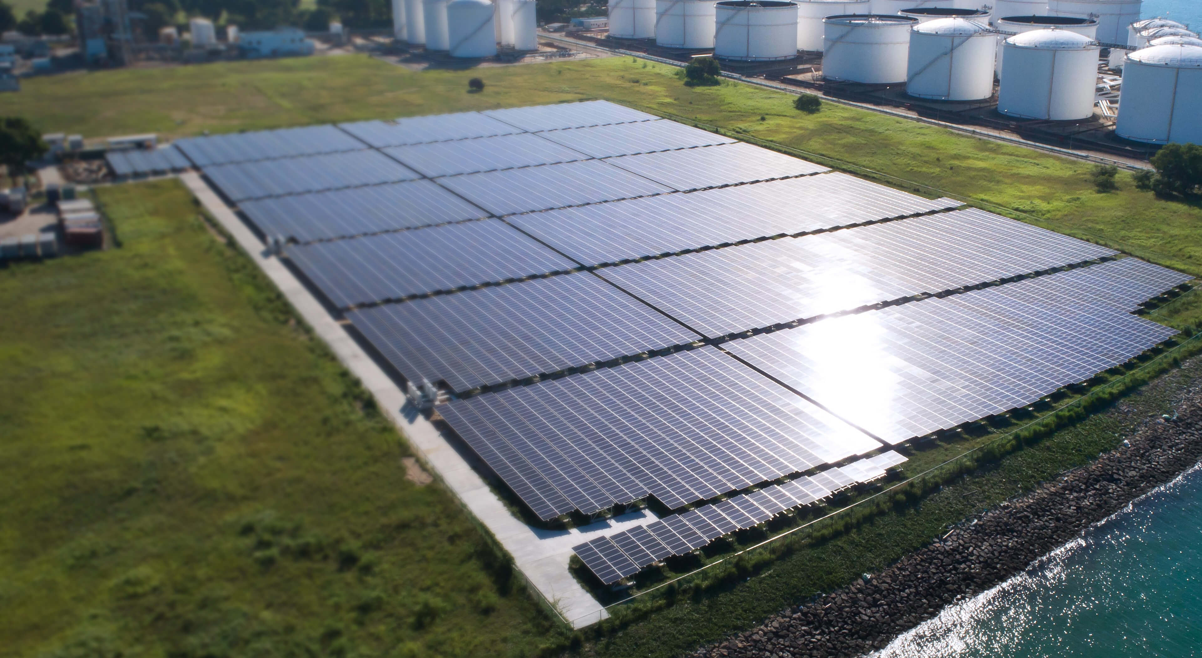 Solar panels generating renewable energy on a large plot of land