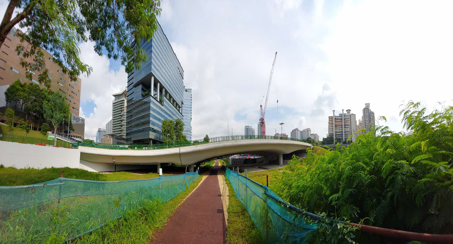 Tanglin Hault Flyover