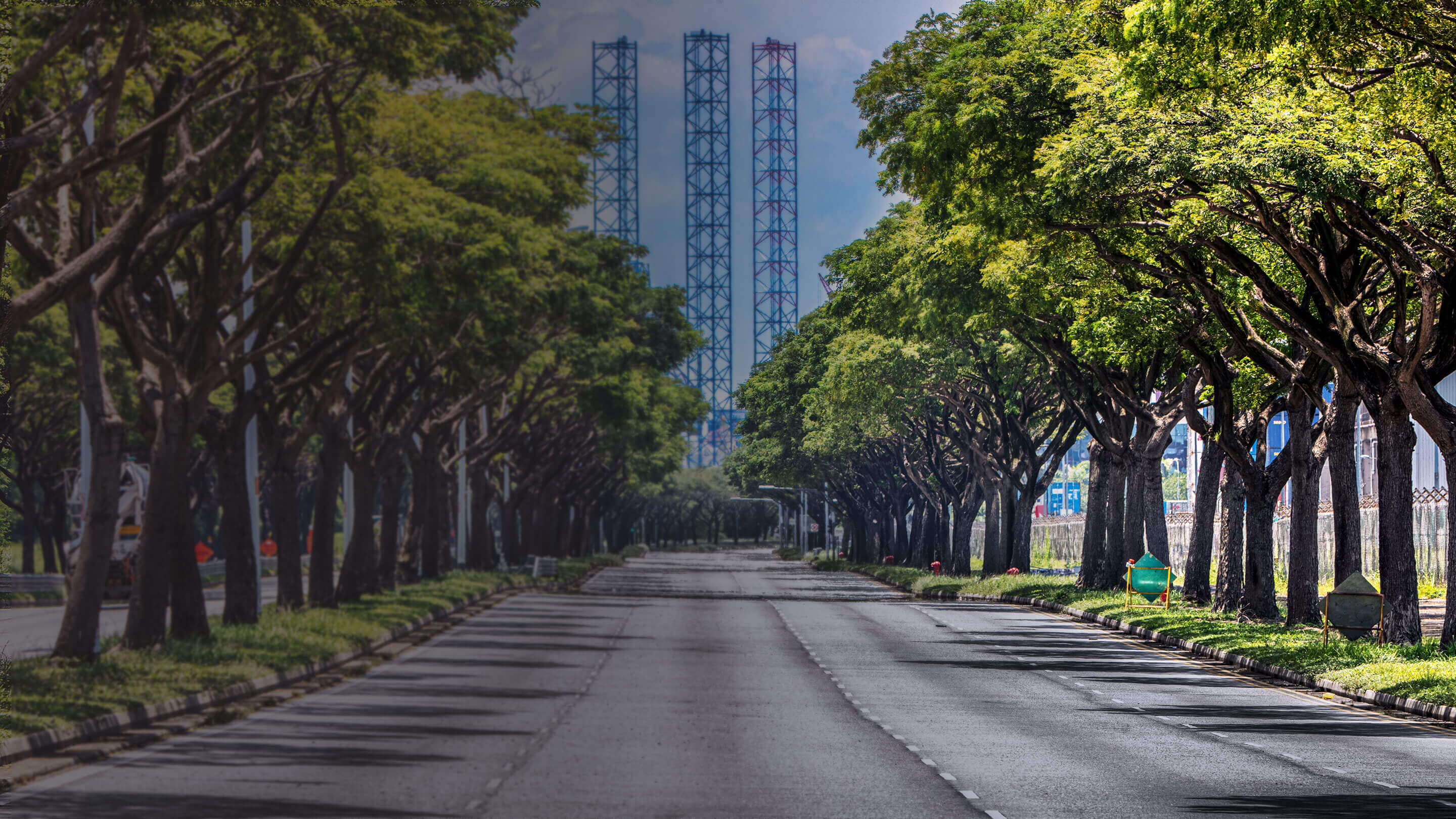 Trees planted along roads in industrial estates