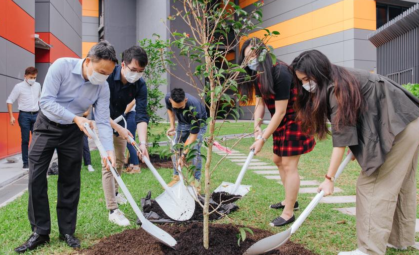 Plant a tree at LaunchPad