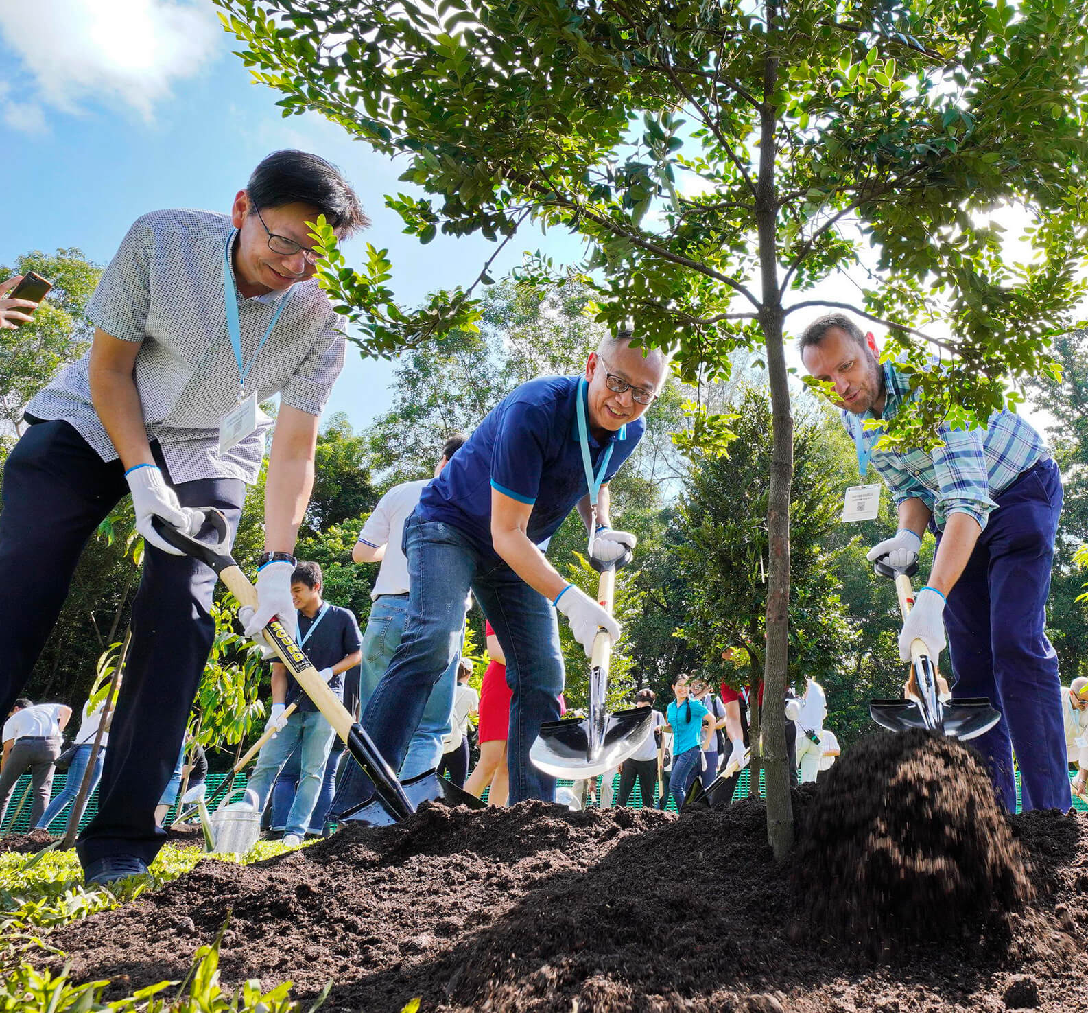 Four men planting a tree
