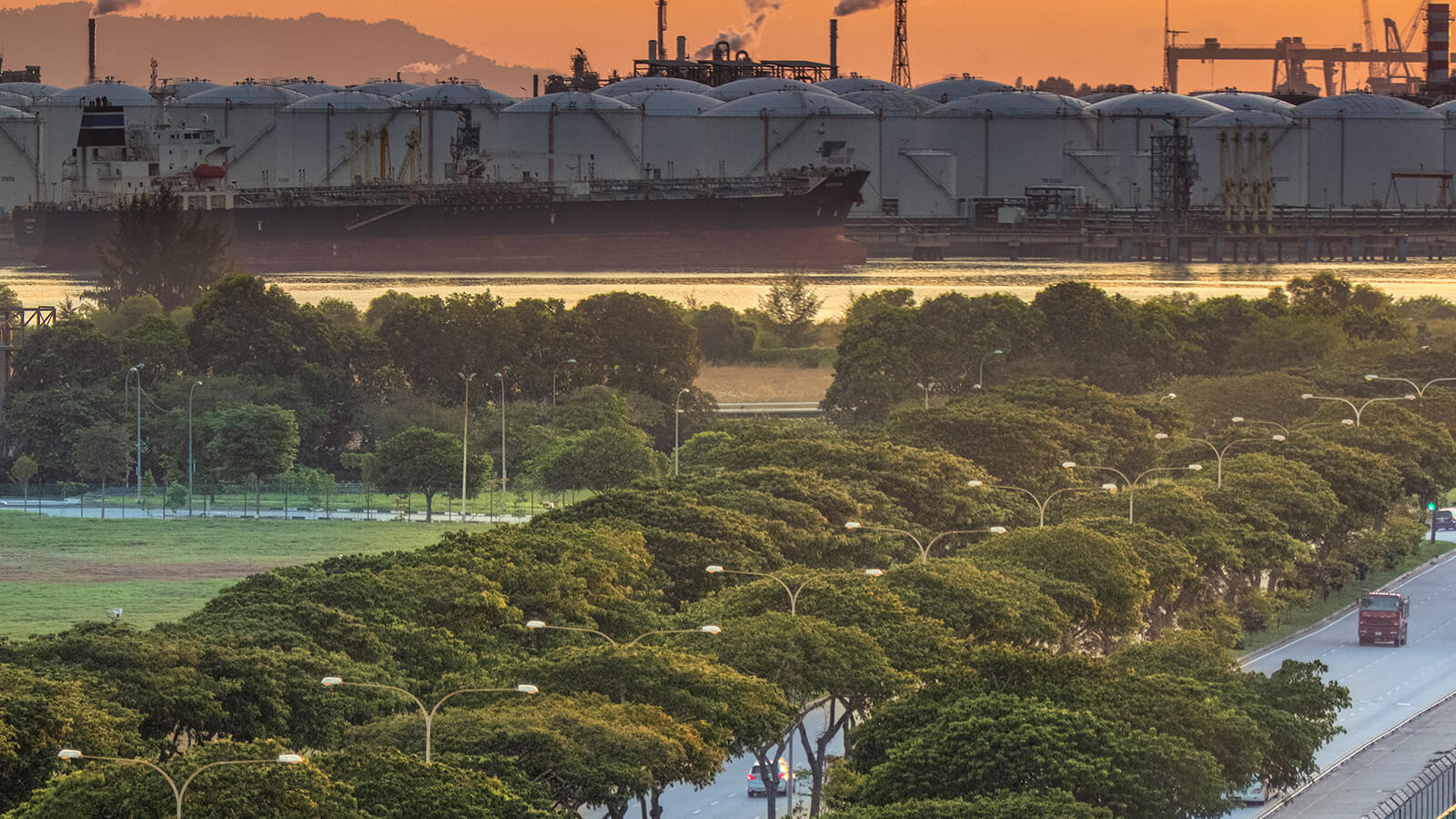 Greening Jurong Island with trees with more than 13,000 trees