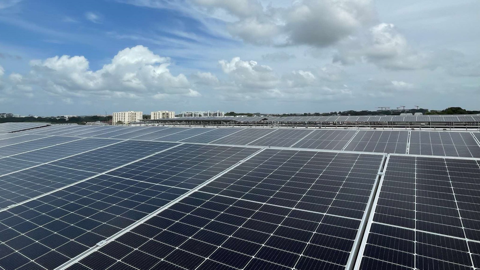 Solar PV panels deployed at JTC's Ang Mo Kio Industrial Park 2A.