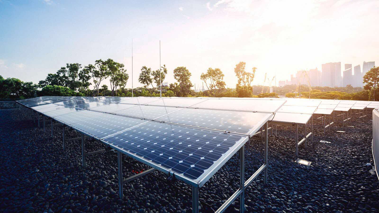 Solar energy - one of the four supply 'Switches' that Singapore is harnessing to achieving its net-zero target by 2050.