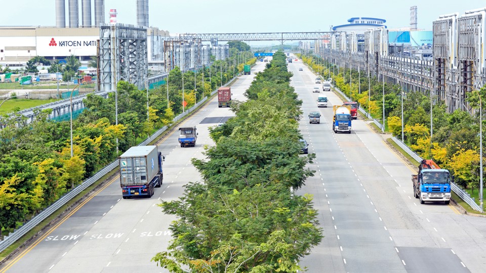 Banyan Avenue