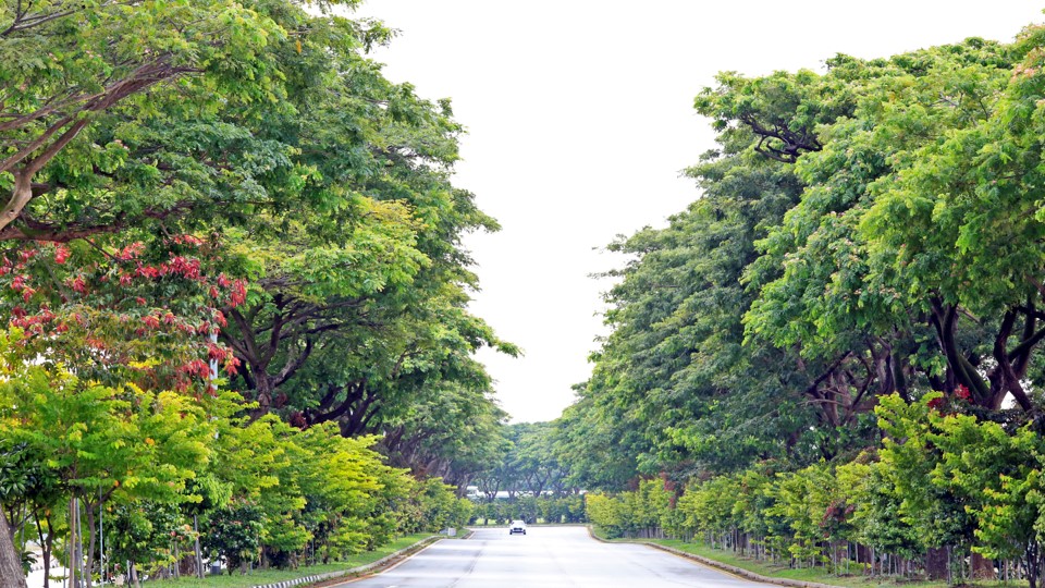 Jurong Island Highway