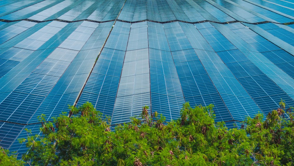 Sembcorp's SolarLand deployment on Jurong Island.