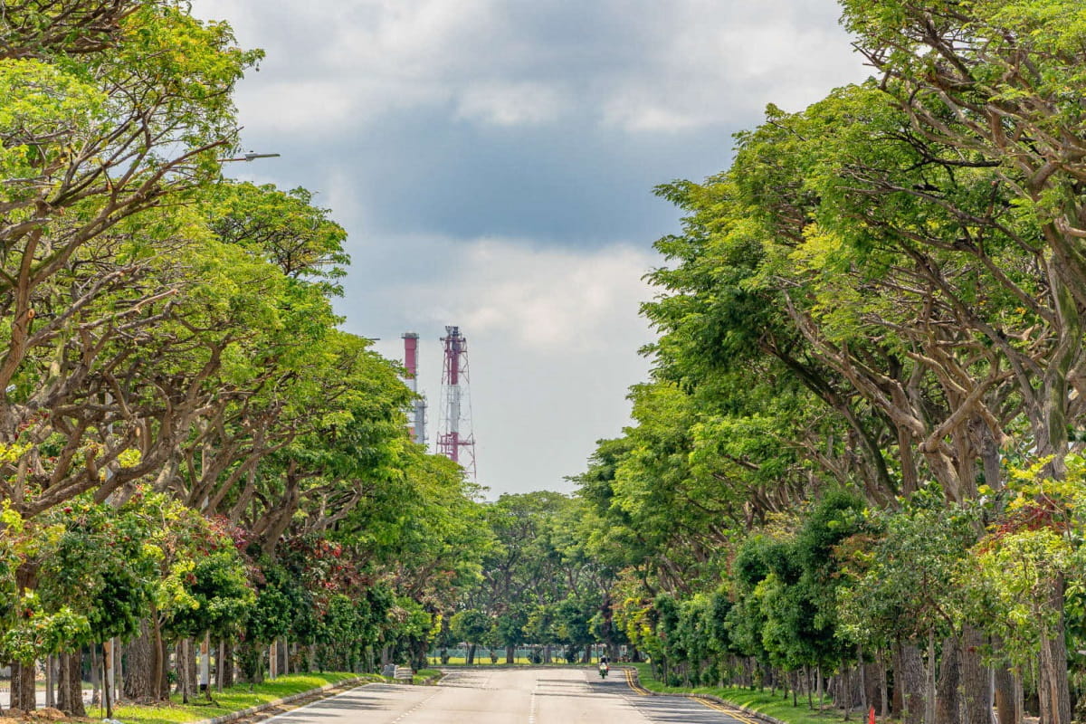 Jurong Island is accessible via the Jurong Island Highway and secured entry points.