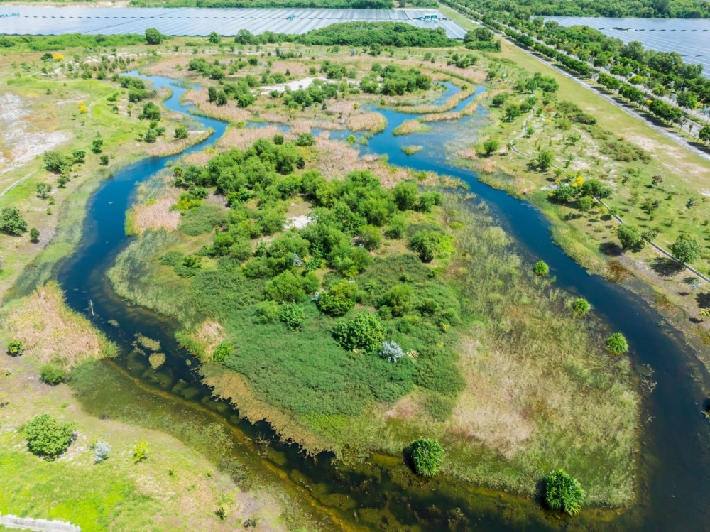 The Jurong Island pond is a nature-based solution engineered to combat climate change-driven flooding.
